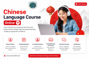 Chinese language course online